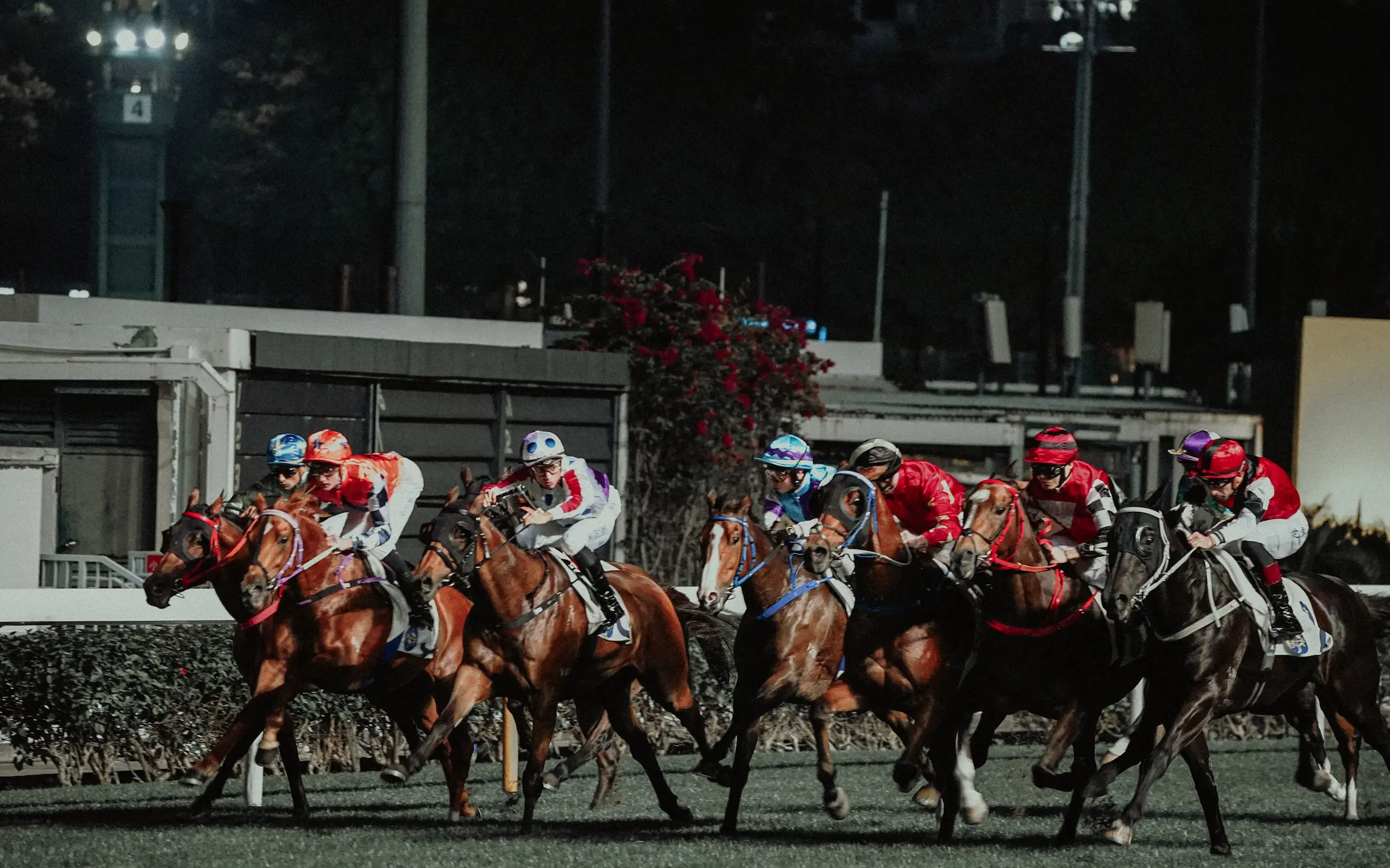 group-people-riding-horses