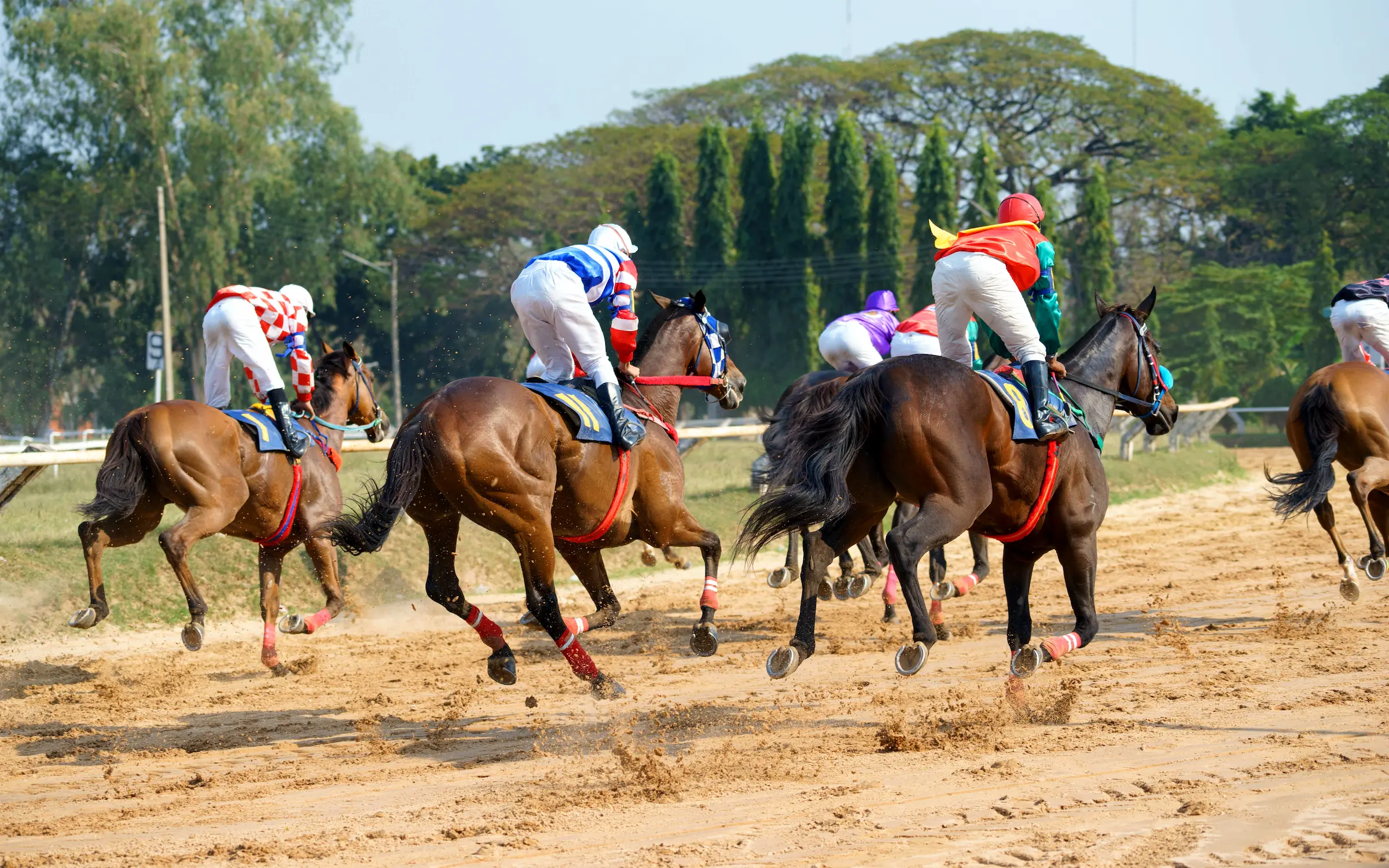 race-horses-with-jockeys
